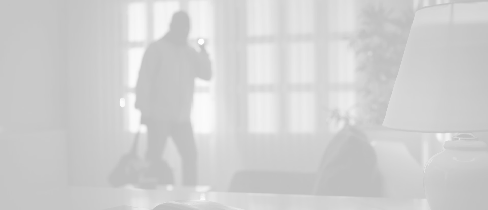 Burglary, Theft & Vandalism