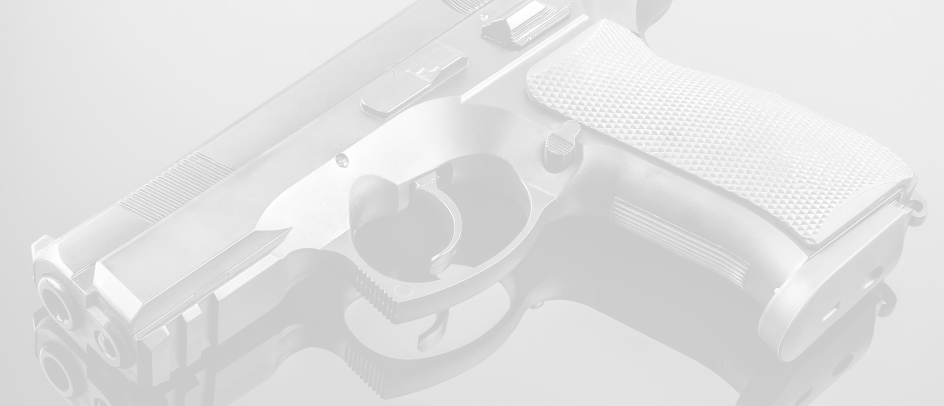 Gun Violations